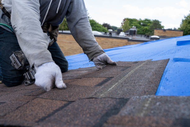 Roof Gutter Cleaning in Wildwood, MO